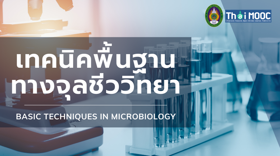 เทคนิคพื้นฐานทางจุลชีววิทยา | Basic Techniques in Microbiology SRU011